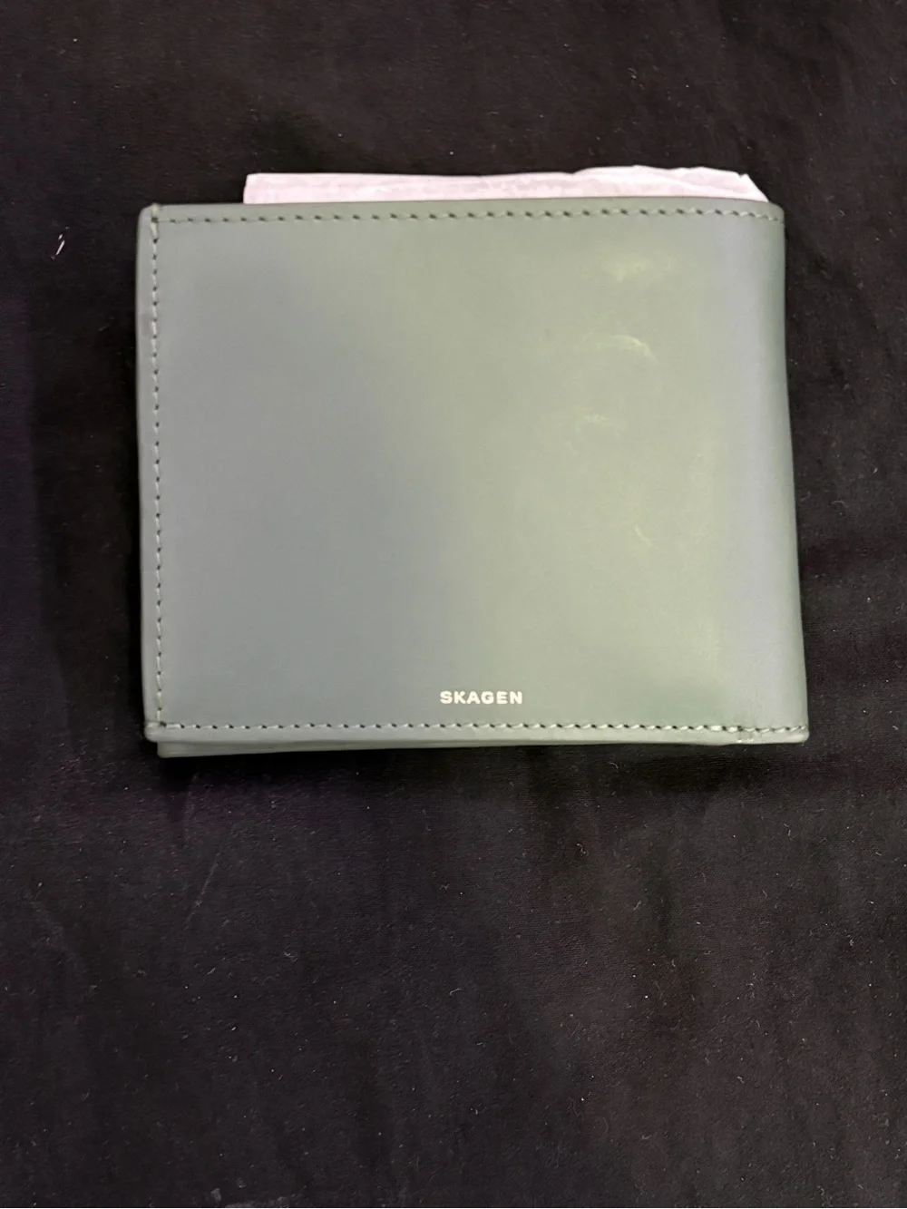 Skagen Men's Wallet in Sage Green Leather